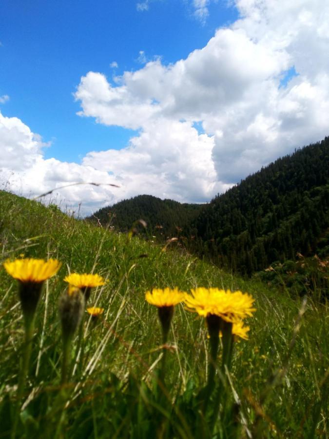 Карпатський Готель Олександрія Mykulychyn Dış mekan fotoğraf